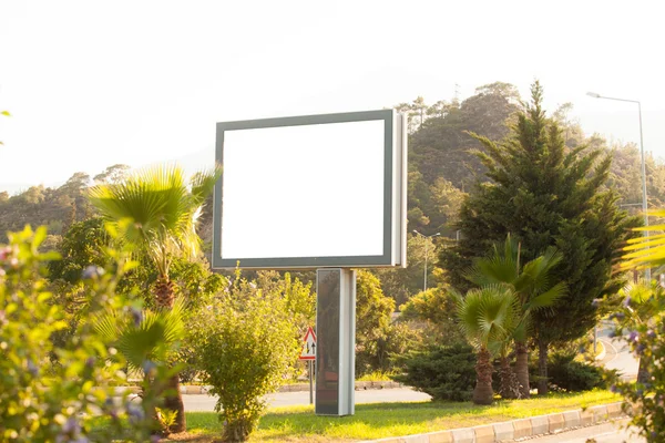Billboard on background of tropical palm trees and mountains