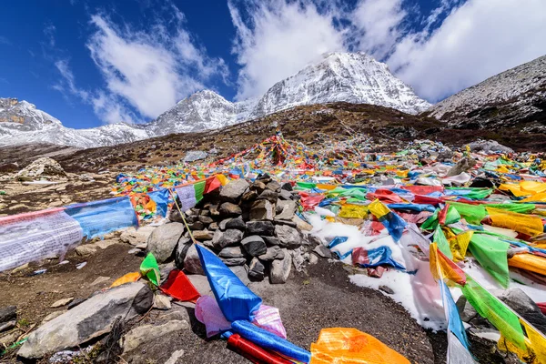 Prayer flags on snow mountains at Yading.