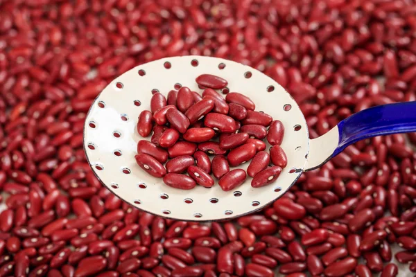 Raw kidney beans and a metallic ladle