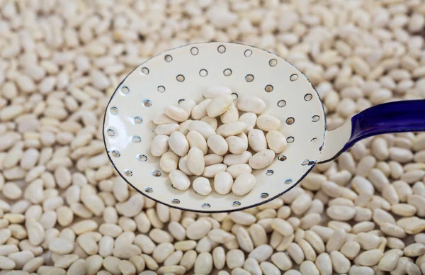 Raw white beans and a metallic ladle