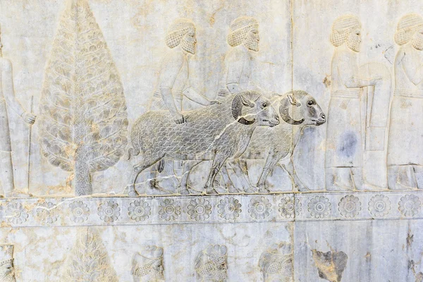 Historical monuments in persapolis, Shiraz, Iran. September 13, 2016.