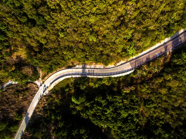 The shadow people in the jungle, on the road from the height of aerial view