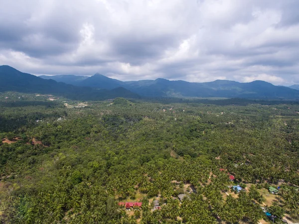 Jungle trees aerial view in Thailand