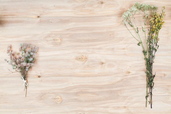 Minimal flower composition of the plants at wooden desk