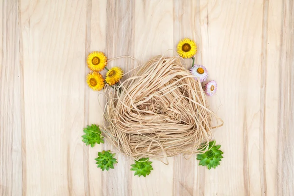 Minimal flower composition of the plants at wooden desk