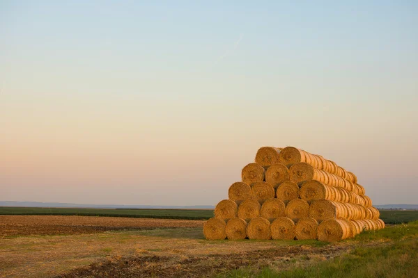 Bales of Hay Rolled Into Stacks on the Field