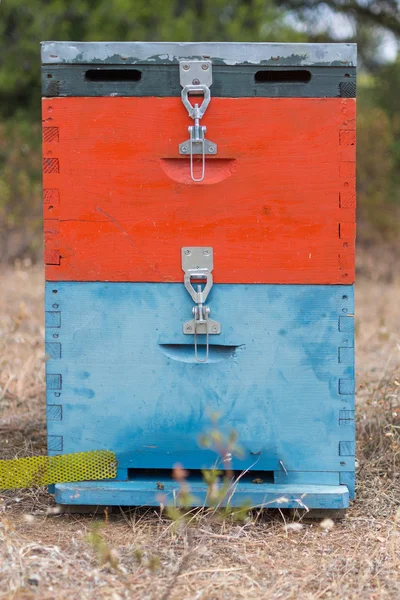 Colorful Honey Beehive in the Meadow Close Up. Red, Blue and Grey Painted Wooden Bee Hive Next to a Pine Forest in Summer.