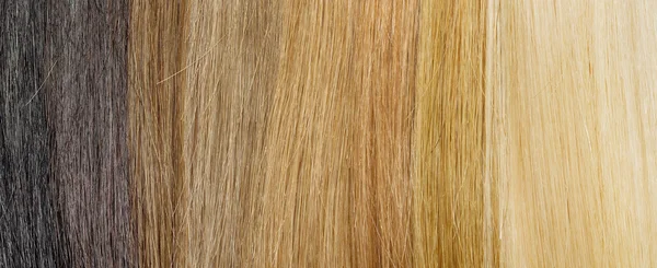 Hair extension palette with color samples from blonde to black