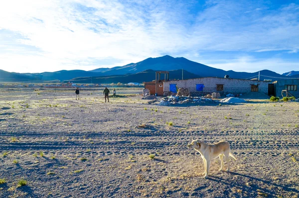 Salt hotel in the desert, Uyuni, Bolivia