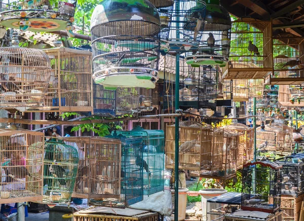 The Birds Market, Yogyakarta, Java, Indonesia