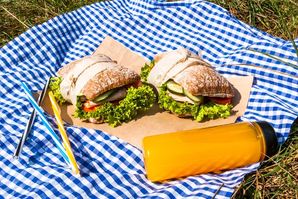 Picnic with homemade sandwiches