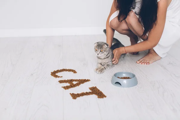 Girl feeding grey cat