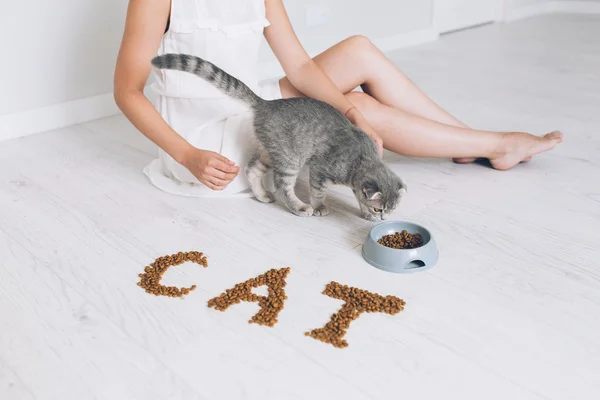 Girl feeding grey cat