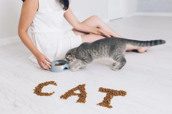 Girl feeding grey cat