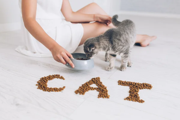 Girl feeding grey cat