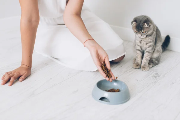 Girl feeding grey cat