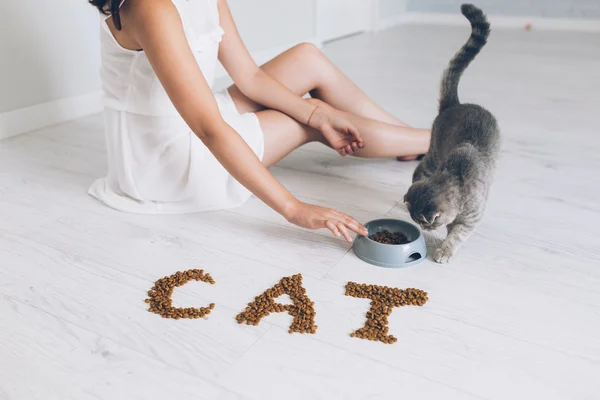 Girl feeding grey cat