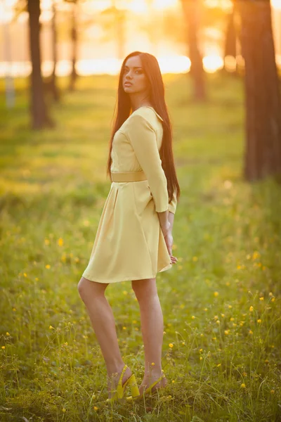 Young woman in evening sunlight