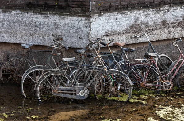 Abandoned, rusty old bikes.
