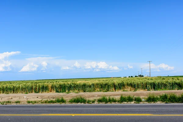 California Farm Under Blue Sky