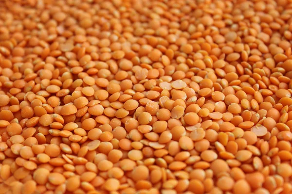 Grains of red lentils.