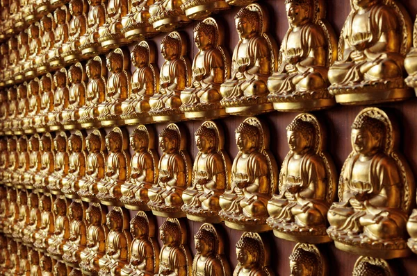 Buddha Statues on the wall.