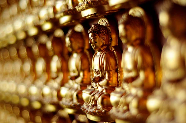 Buddha Statues on the wall.