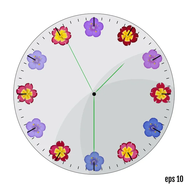 The watch dial with flowers. Summer concept. Flowers primrose  a