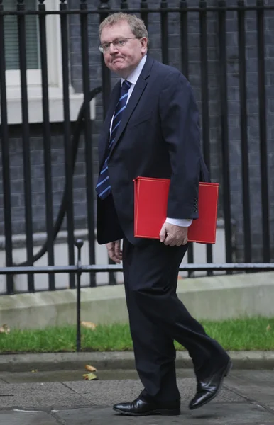 Politician David Mundell MP