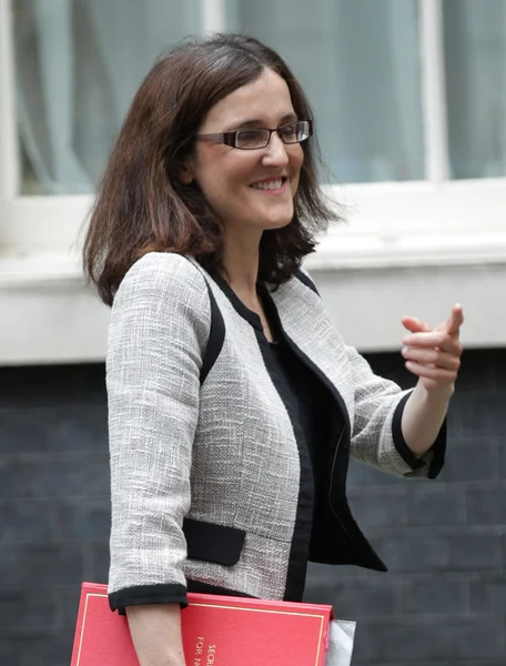 Politician Theresa Villiers MP