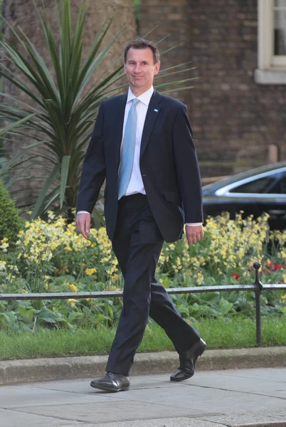 Politician Jeremy Hunt