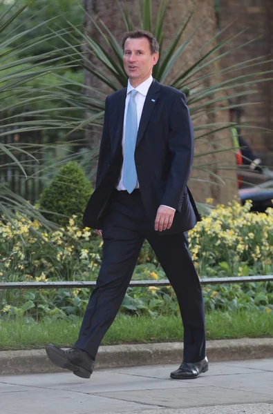 Politician Jeremy Hunt