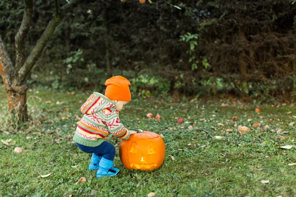 Baby opening lid on Halloween pumpkin