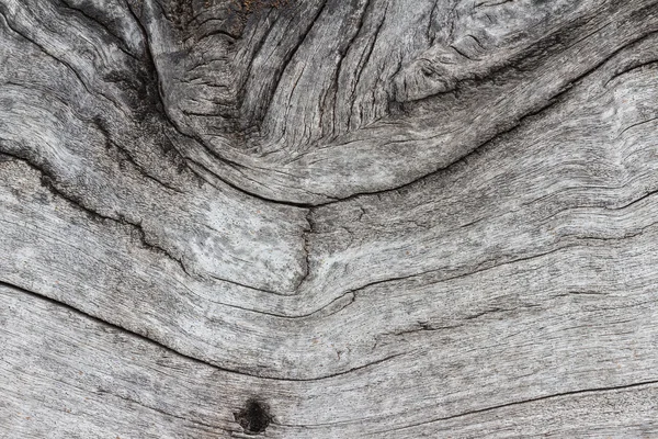 Texture of tree stump. The surface of the tree stump rupture.