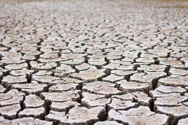 Climate change, the ground is dry, drought, cracked ground