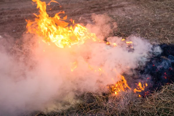 Fire smoke on the grass.