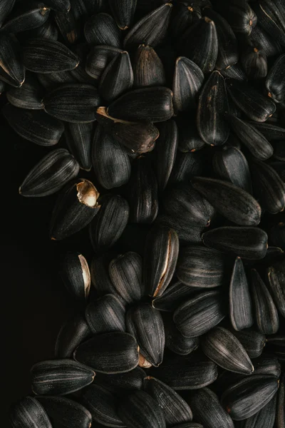 Many black sunflower seeds background close up