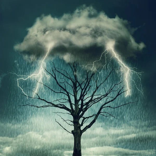 Tree above storm