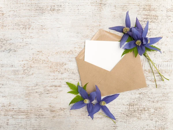 Kraft paper envelope with white blank card