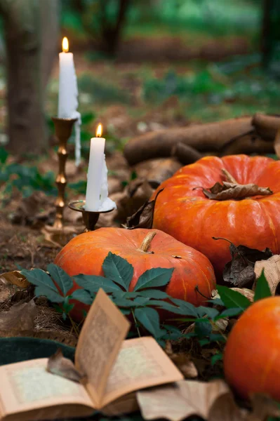 Pumpkins in garden. Natural decorations with book and candles.