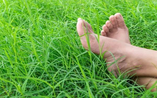 Woman bare feet on green grass, relax and holiday concept