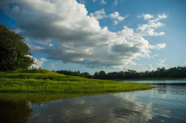 Amazon river,  Brazil