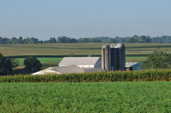 Lancaster farm with silo and corn fields