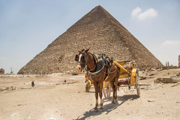Horse carriage and pyramid