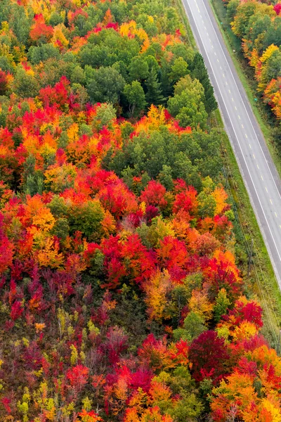 Aerial landscape view