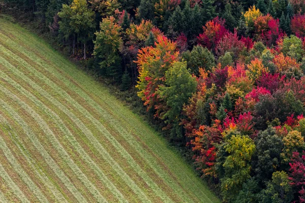 Aerial fall landscape view.