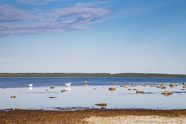 Lake Peipus in Eastern Estonia