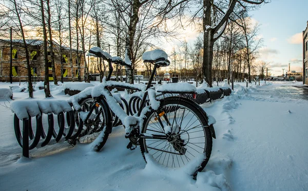Bicycles parking in Tallinn