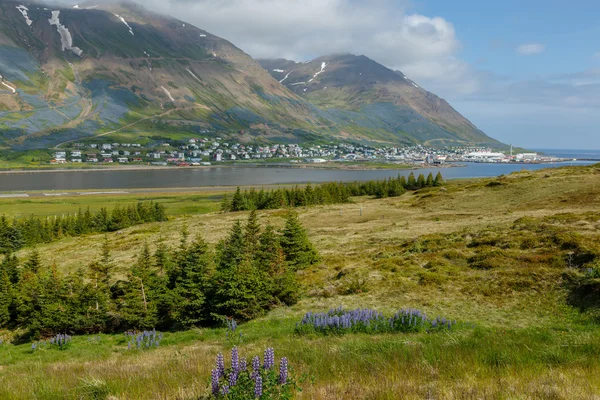 Icelandic landscape on a sunny day