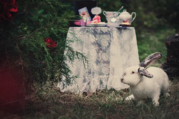 Hat, hatter, pen, tea party, Alice in Wonderland, Through the Looking-Glass, fairy tale, fantasy, scenery, eat me, zefirki, drink me, candy, bubble, liquid, magic potion, table, tablecloth, lace, saucer, tea, cup, dried roses, spoons, lens, maps — стоковое изображение Hat, hatter, pen, tea party, Alice in Wonderland, Through the Looking-Glass, fairy tale, fantasy, scenery, eat me, zefirki, drink me, candy, bubble, liquid, magic potion, table, tablecloth, lace, saucer, tea, cup, dried roses, spoons, lens, maps Лицензионные Стоковые Изображения